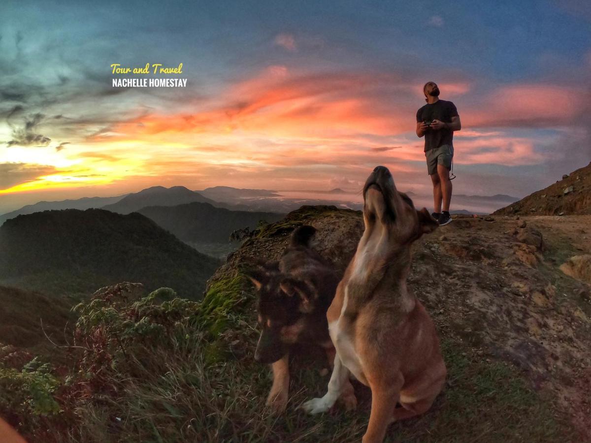 Nachelle Homestay Berastagi Esterno foto