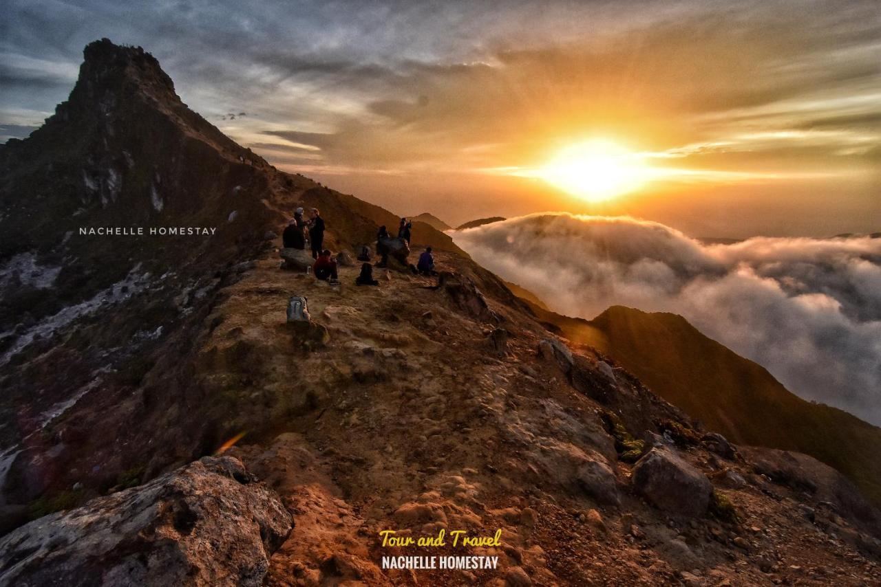 Nachelle Homestay Berastagi Esterno foto